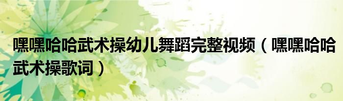 嘿嘿哈哈武术操幼儿舞蹈完整视频(嘿嘿哈哈武术操歌词)