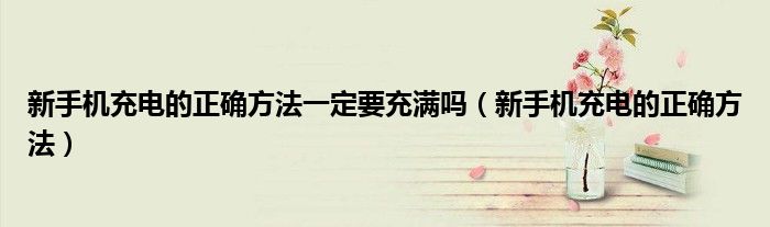 新手机充电的正确方法一定要充满吗(新手机充电的正确方法)