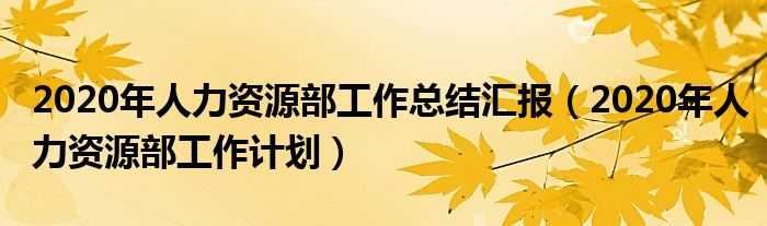 2020年人力资源部工作总结汇报(2020年人力资源部工作计划)