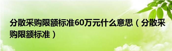 分散采购限额标准60万元什么意思(分散采购限额标准)