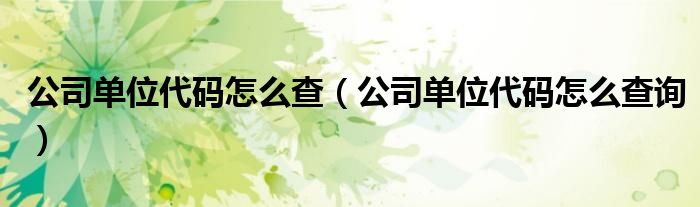 公司单位代码怎么查(公司单位代码怎么查询)