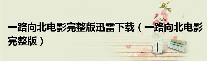一路向北电影完整版迅雷下载(一路向北电影完整版)