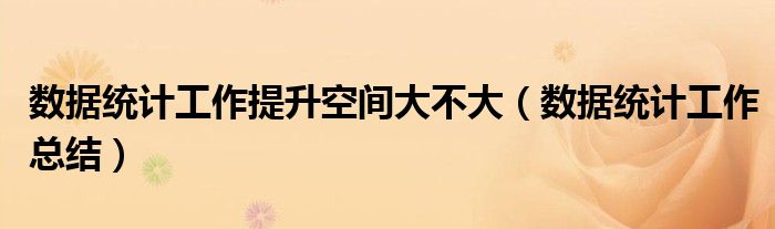 数据统计工作提升空间大不大(数据统计工作总结)