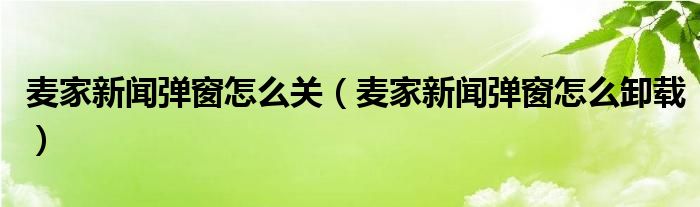 麦家新闻弹窗怎么关(麦家新闻弹窗怎么卸载)