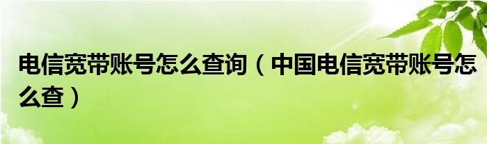 电信宽带账号怎么查询(中国电信宽带账号怎么查)