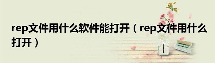 rep文件用什么软件能打开(rep文件用什么打开)