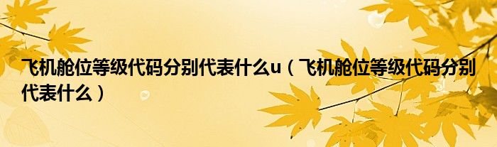 飞机舱位等级代码分别代表什么u(飞机舱位等级代码分别代表什么)