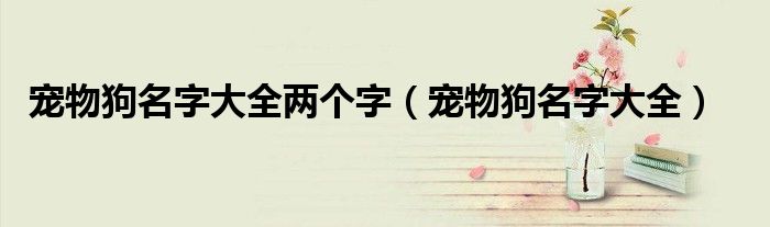 宠物狗名字大全两个字(宠物狗名字大全)