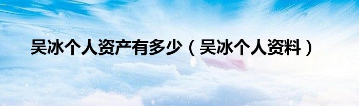 吴冰个人资产有多少(吴冰个人资料)