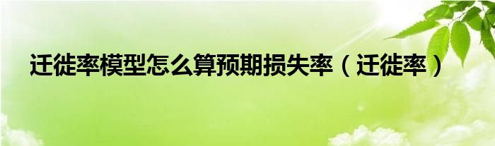 迁徙率模型怎么算预期损失率(迁徙率)