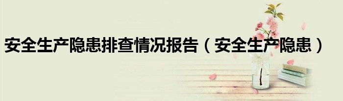 安全生产隐患排查情况报告(安全生产隐患)