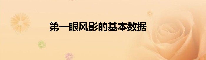 第一眼风影的基本数据