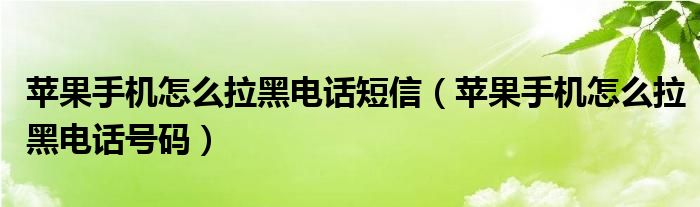 苹果手机怎么拉黑电话短信(苹果手机怎么拉黑电话号码)