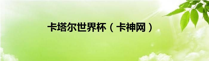 卡塔尔世界杯（卡神网）