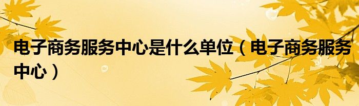 电子商务服务中心是什么单位(电子商务服务中心)