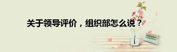 关于领导评价,组织部怎么说?