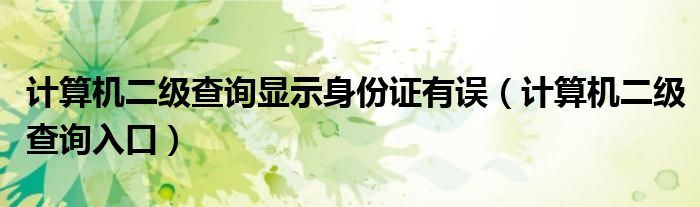 计算机二级查询显示身份证有误(计算机二级查询入口)