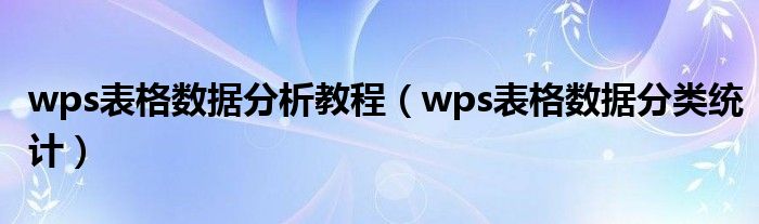 wps表格数据分析教程(wps表格数据分类统计)