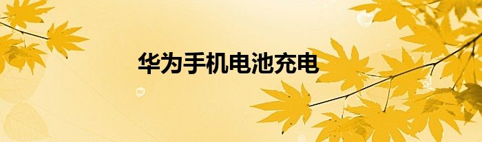 华为手机电池充电
