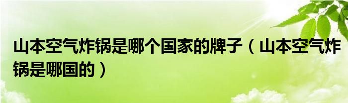 山本空气炸锅是哪个国家的牌子(山本空气炸锅是哪国的)
