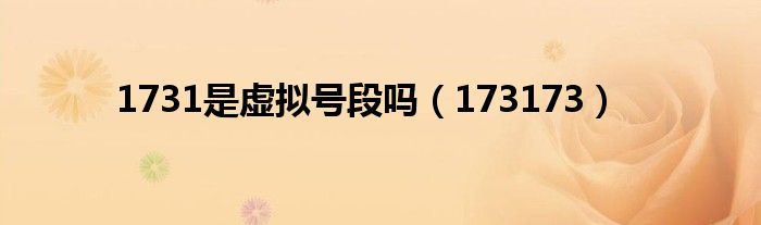 1731是虚拟号段吗(173173)