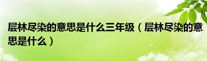 层林尽染的意思是什么三年级(层林尽染的意思是什么)