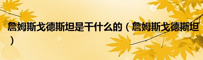 詹姆斯戈德斯坦是干什么的(詹姆斯戈德斯坦)