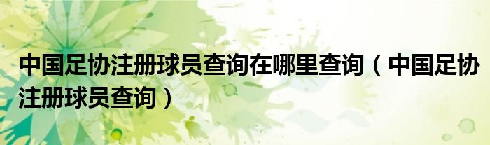 中国足协注册球员查询在哪里查询(中国足协注册球员查询)
