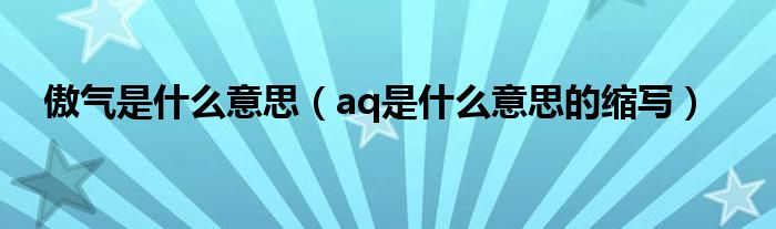 傲气是什么意思(aq是什么意思的缩写)
