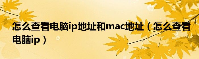 怎么查看电脑ip地址和mac地址(怎么查看电脑ip)