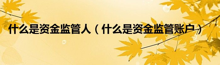 什么是资金监管人(什么是资金监管账户)