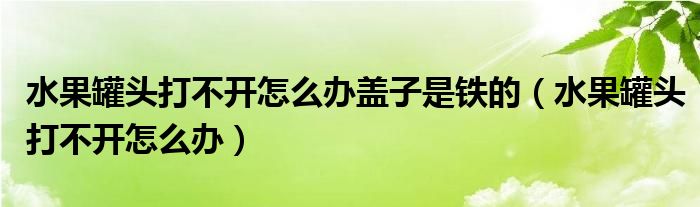 水果罐头打不开怎么办盖子是铁的(水果罐头打不开怎么办)