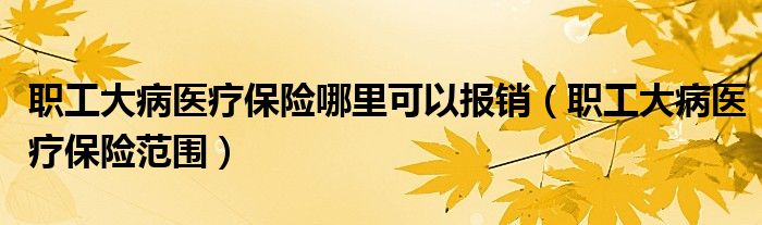职工大病医疗保险哪里可以报销(职工大病医疗保险范围)