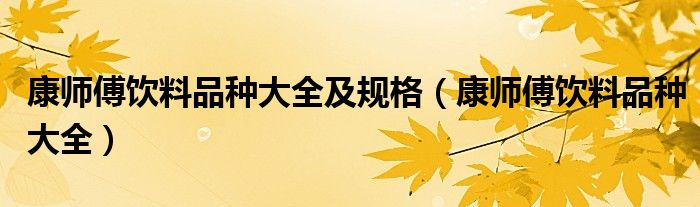 康师傅饮料品种大全及规格(康师傅饮料品种大全)