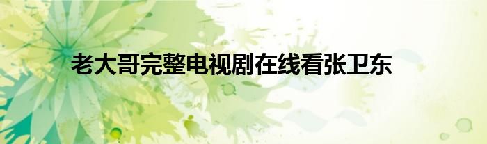 老大哥完整电视剧在线看张卫东