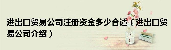 进出口贸易公司注册资金多少合适(进出口贸易公司介绍)