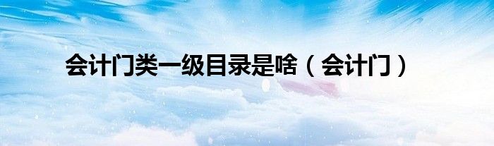 会计门类一级目录是啥(会计门)