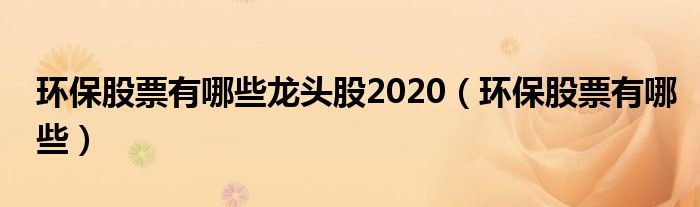 环保股票有哪些龙头股2020(环保股票有哪些)