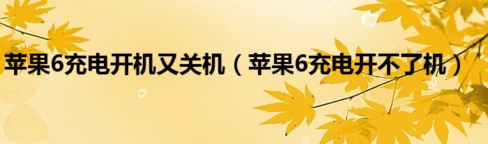 苹果6充电开机又关机(苹果6充电开不了机)