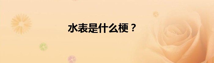 水表是什么梗？