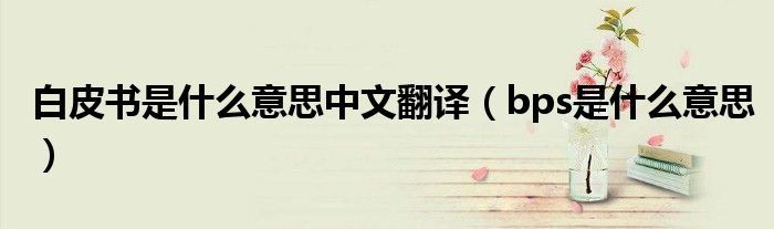 白皮书是什么意思中文翻译(bps是什么意思)