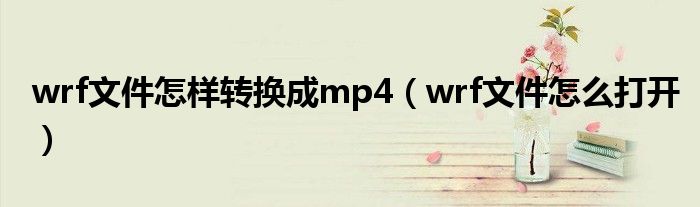 wrf文件怎样转换成mp4(wrf文件怎么打开)