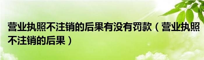 营业执照不注销的后果有没有罚款(营业执照不注销的后果)