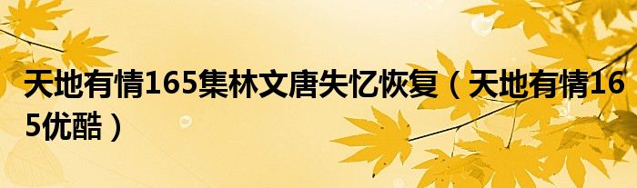 天地有情165集林文唐失忆恢复(天地有情165优酷)