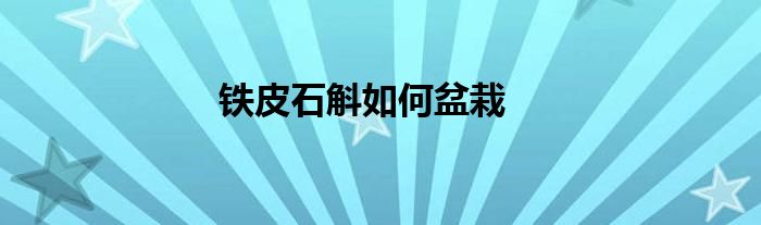 铁皮石斛如何盆栽