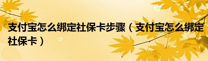 支付宝怎么绑定社保卡步骤(支付宝怎么绑定社保卡)