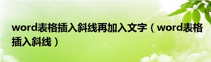word表格插入斜线再加入文字(word表格插入斜线)