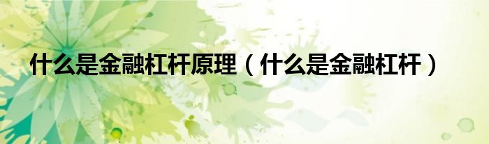 什么是金融杠杆原理(什么是金融杠杆)