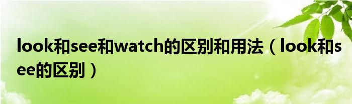 look和see和watch的区别和用法(look和see的区别)