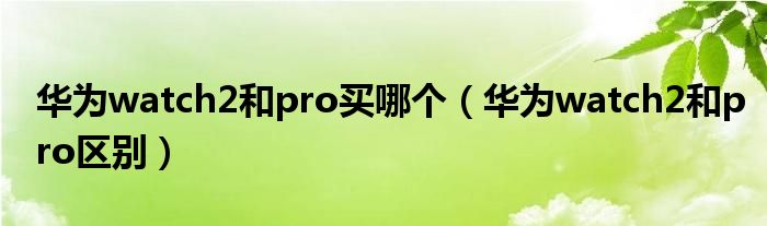 华为watch2和pro买哪个(华为watch2和pro区别)
